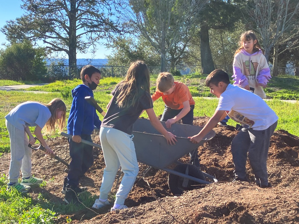 Students working in garden